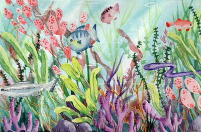 Illustration & Collaborations