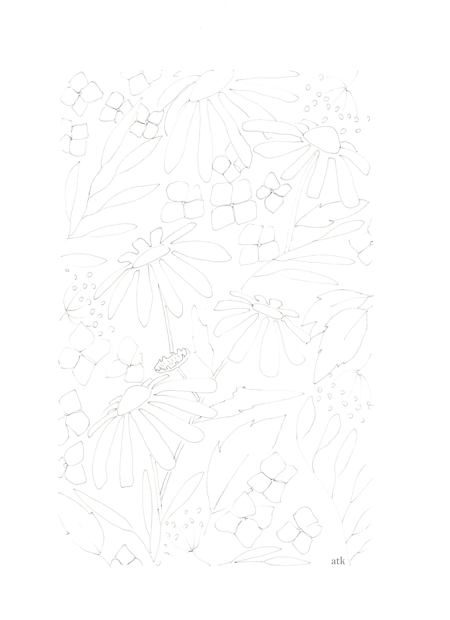 Dessin à imprimer "Marguerites"