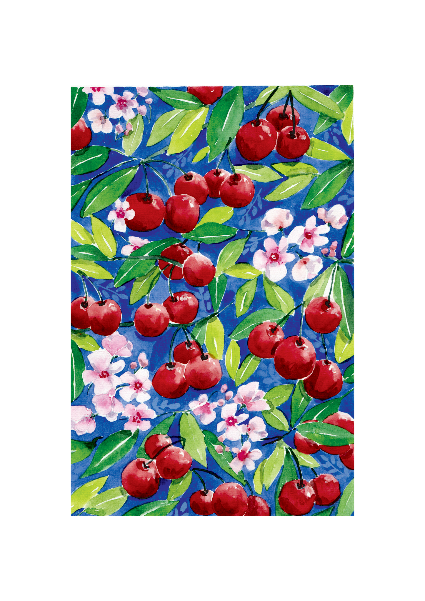 Illustration à l'aquarelle - Cerises