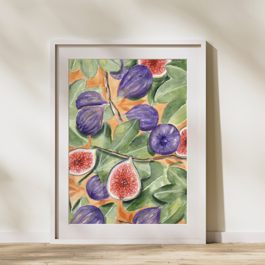 Illustration à l'aquarelle - Figues