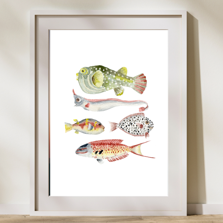 Illustration Les Poissons