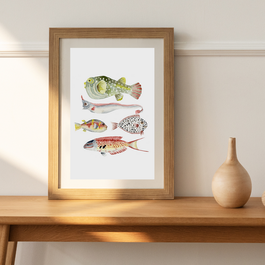 illustration poissons aquarelle studioatk décoration murale