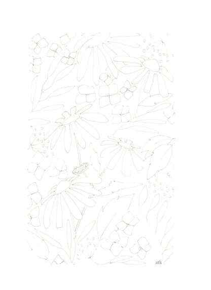 Dessin à imprimer "Marguerites"