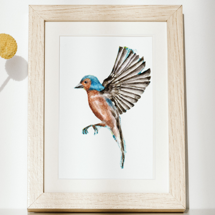 illustration oiseau aquarelle studioatk décoration murale