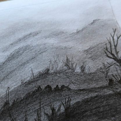 STAGE INITIATION AU DESSIN - LES BASES - 3 & 4 juillet 2025