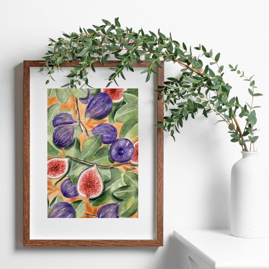 Illustration à l'aquarelle - Figues
