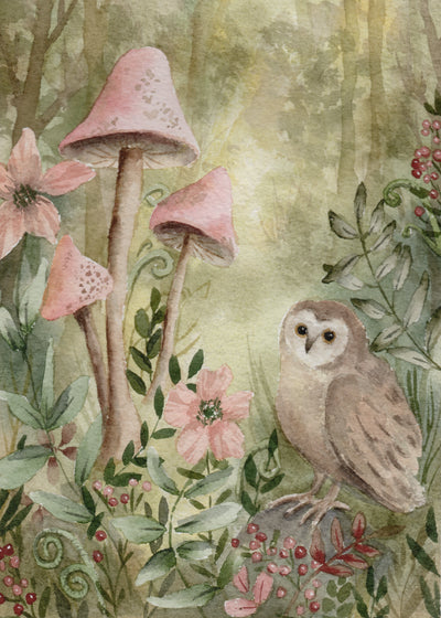 Illustration & Collaborations