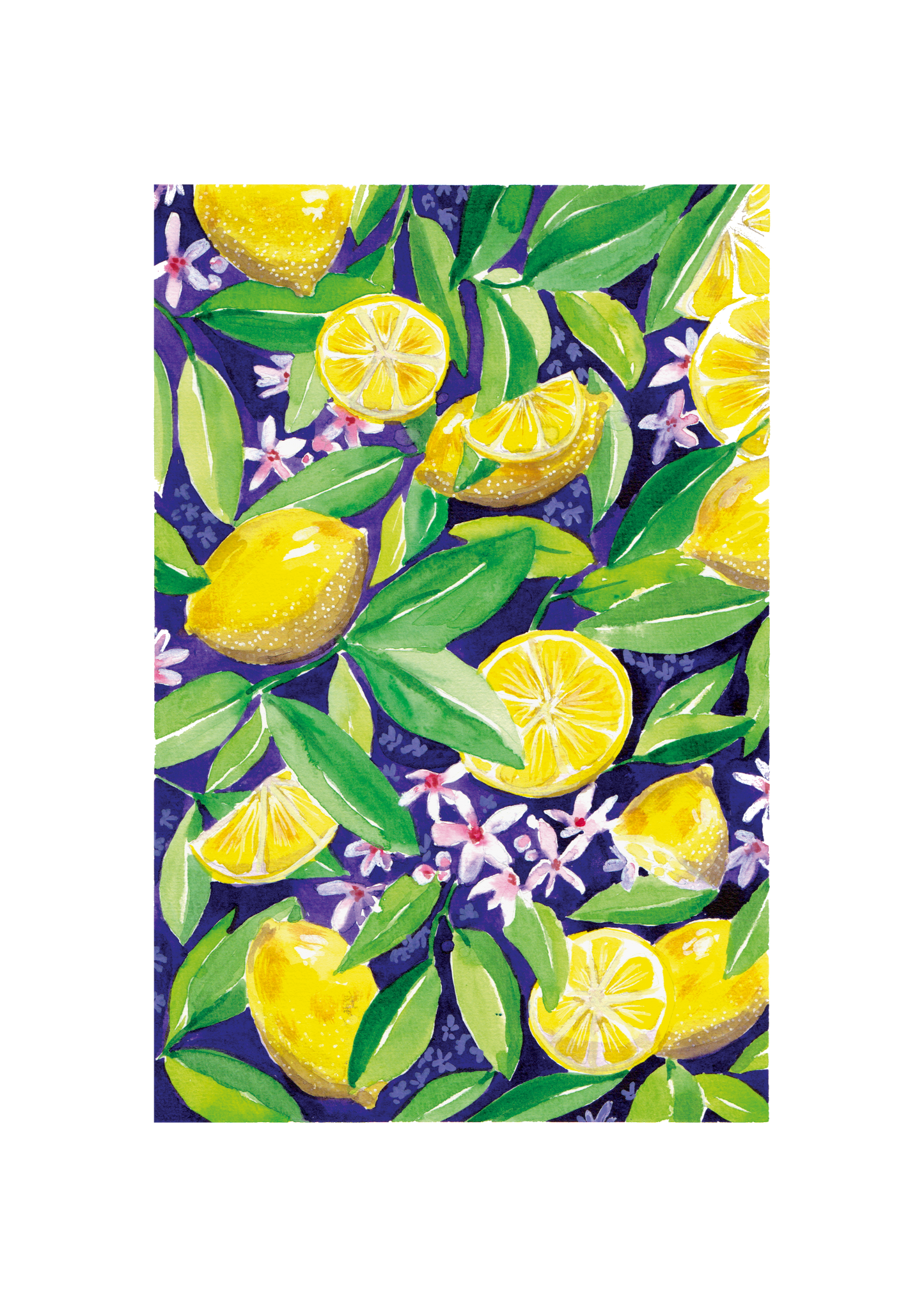 Illustration à l'aquarelle - Citrons